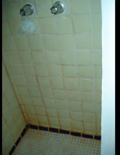 Regrout Shower